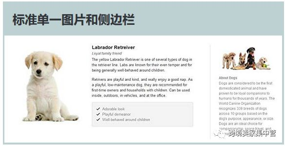 亚马逊Listing的终极优化指南（2）
