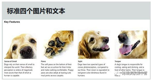 亚马逊Listing的终极优化指南（2）