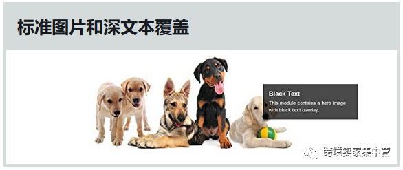 亚马逊Listing的终极优化指南（2）