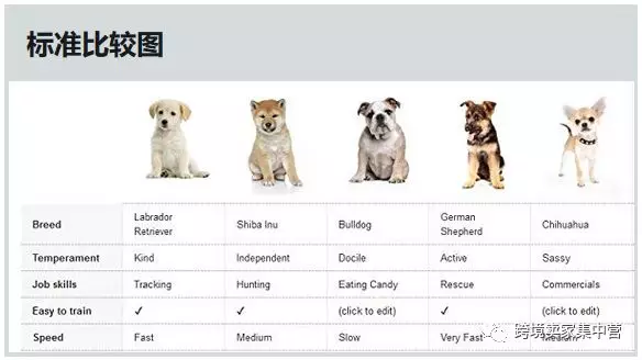 亚马逊Listing的终极优化指南（2）